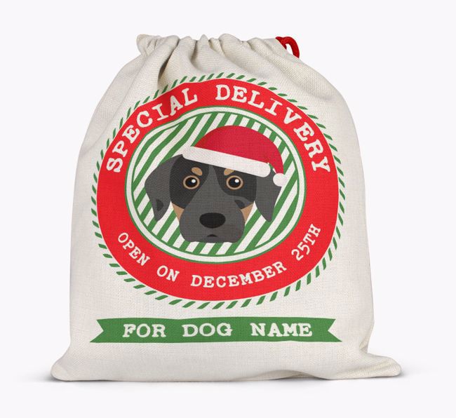 Special Delivery: Personalised {breedFullName} Santa Sack